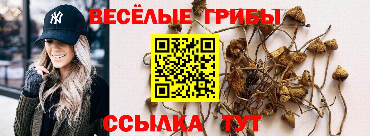Ялта  Галлюциногенные грибы ЛСД  Псилоцибиновые грибы ЛСД  Вход с VPN 