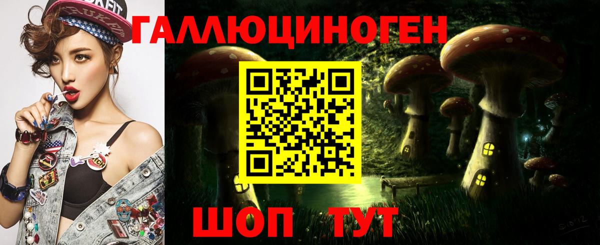 Псилоцибиновые грибы Cubensis Ялта
